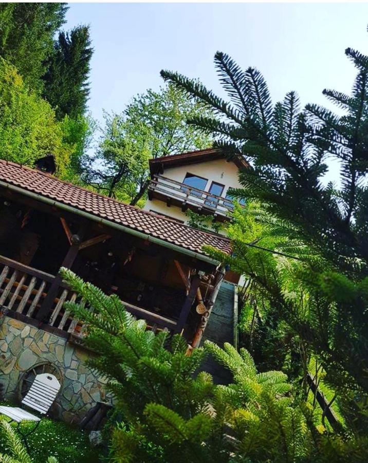 Cabana Vanatorilor Пояна-Мэрулуй Экстерьер фото